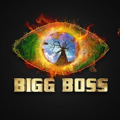 Bigg Boss 15 Finalists With Highest Fan...